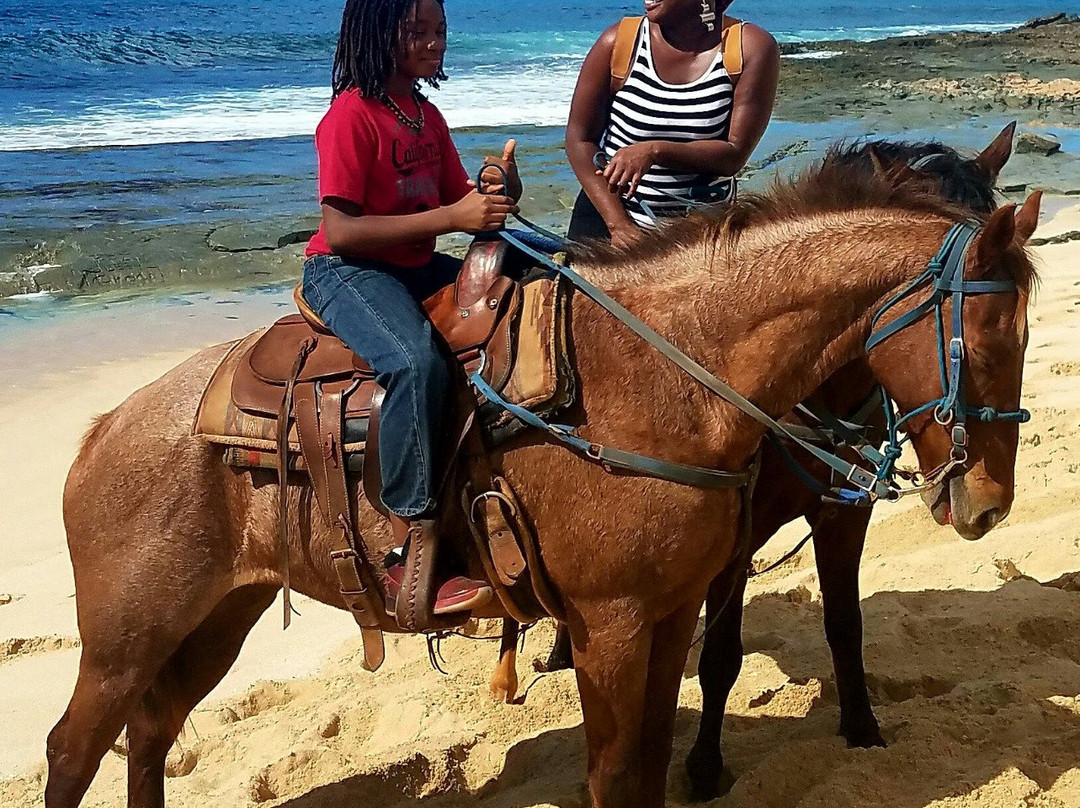 Makaha Valley Riding Stables-瓦胡岛必去景点