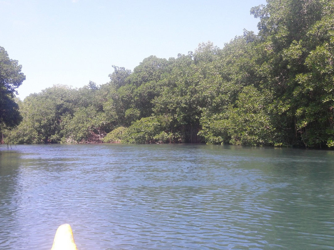 Covenas旅游攻略图片