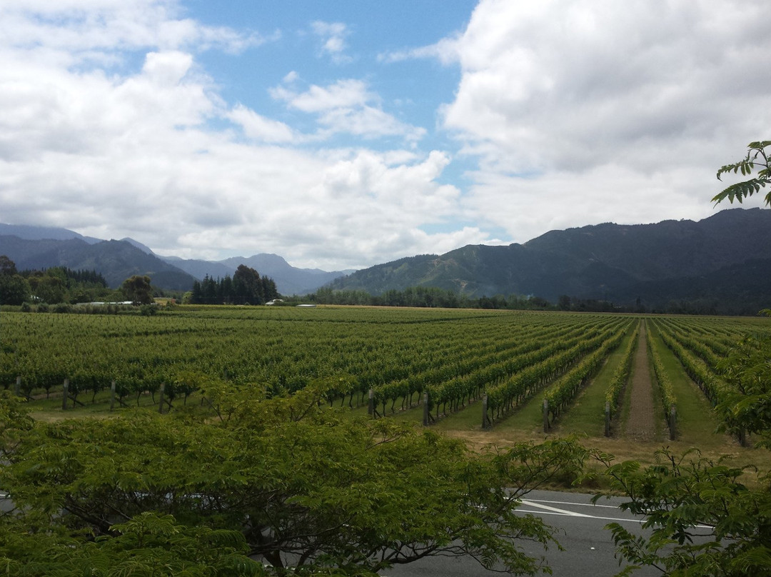 Giesenwines Wines Cellar Door-布伦海姆必去景点