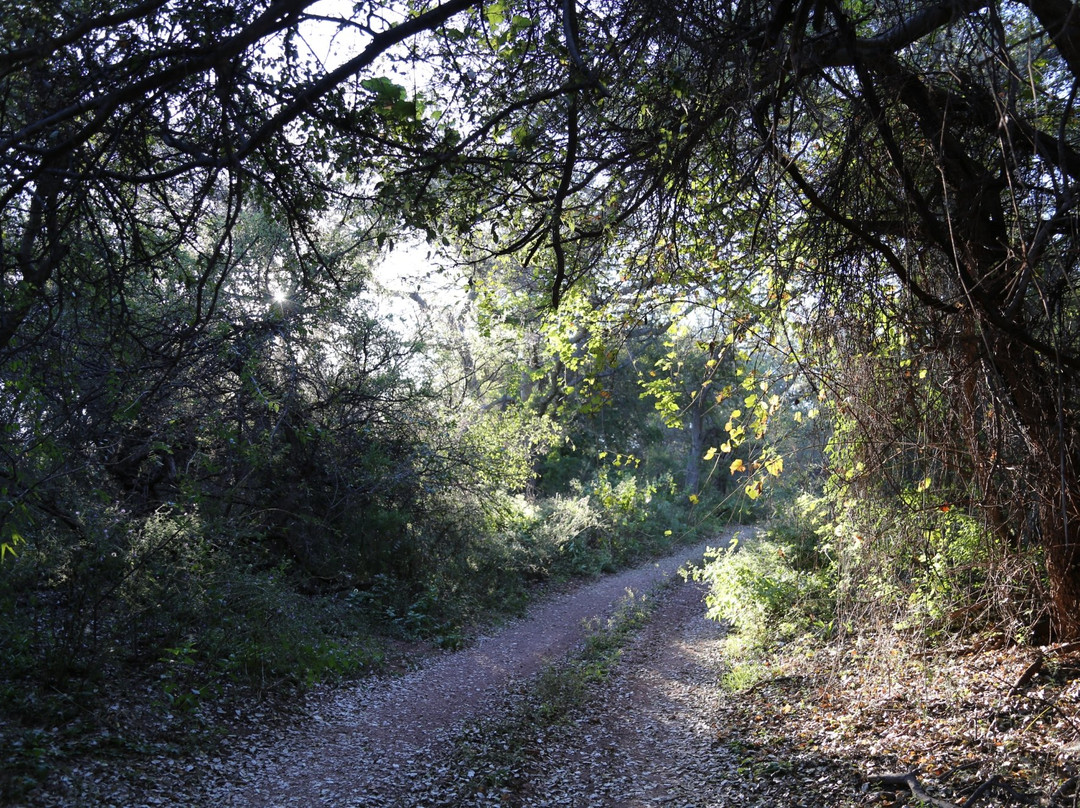 Muleshoe Ranch Preserve-Willcox必去景点