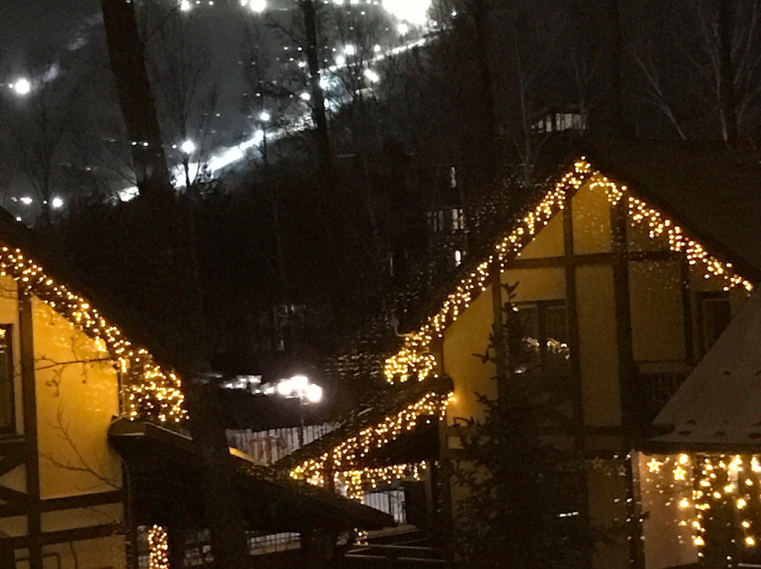 Zelyonaya Polyana酒店住宿-Sunrise Hotel