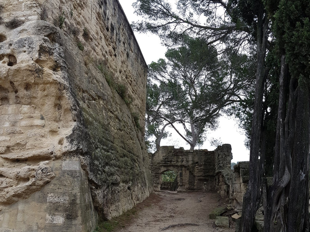 Château de Sommières景点图片