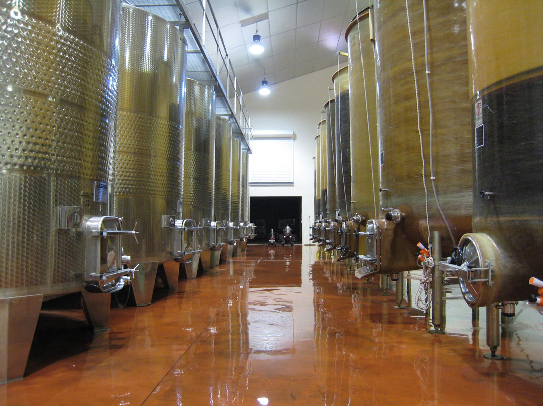Domaine Massillan景点图片