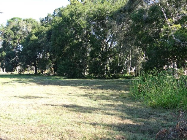 Doggie Days Dog Park-克利尔沃特必去景点