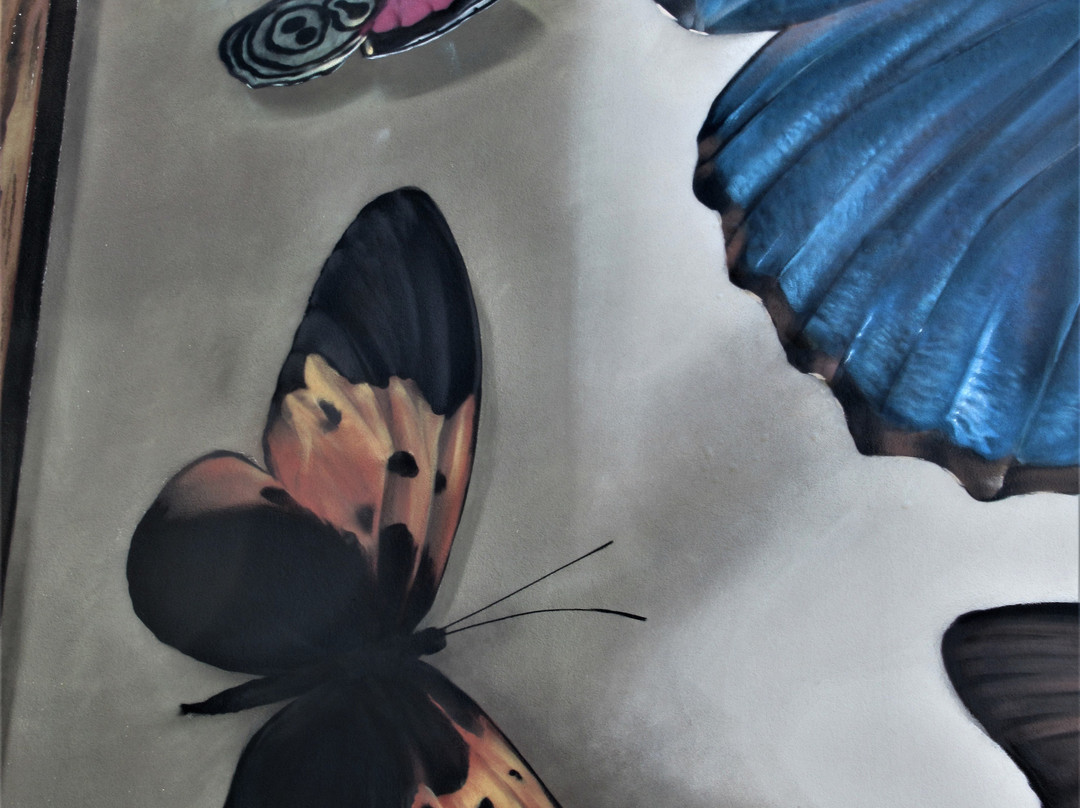 Fresque "Collection de papillons"-蒂永维尔必去景点