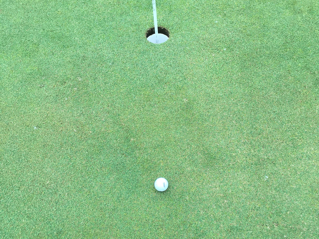 Mulligan Springs Golf Course-Mogadore必去景点