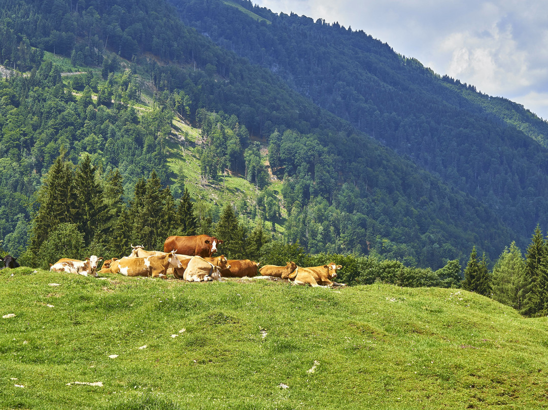 Hagertal-Koessen必去景点