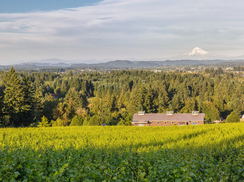 Hawks View Winery-Sherwood必去景点