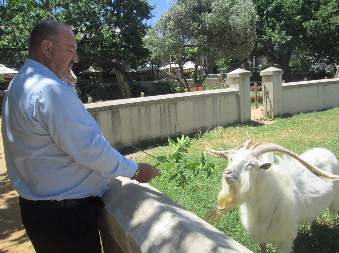 Silverleaf Travel and Tours-Parow必去景点