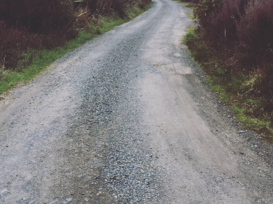 Mangahuia Campsite