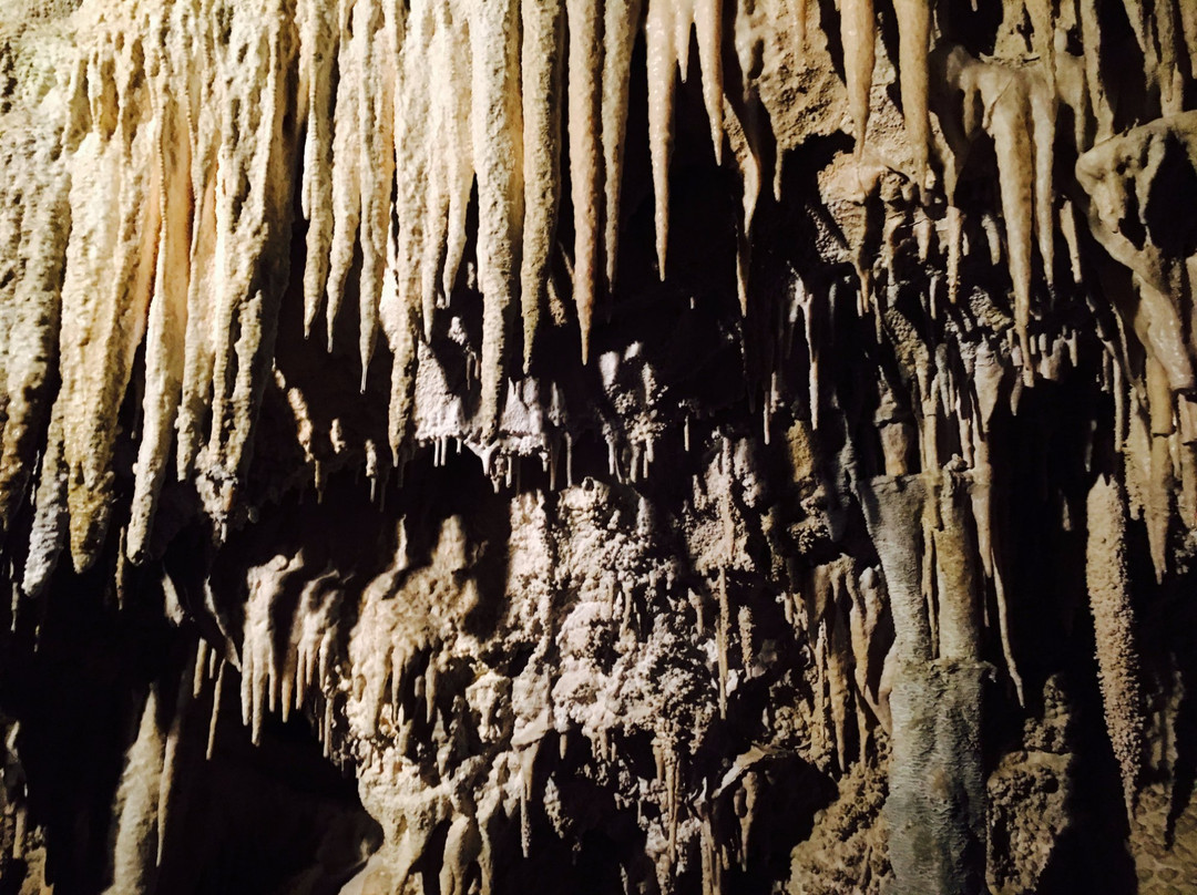 Ngarua Caves景点图片