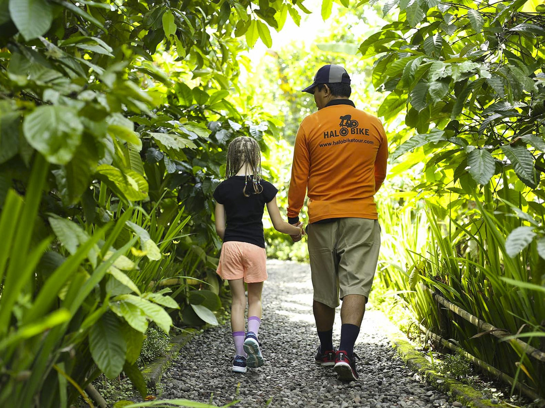 Halo Bike Cycling Tour-吉安雅必去景点