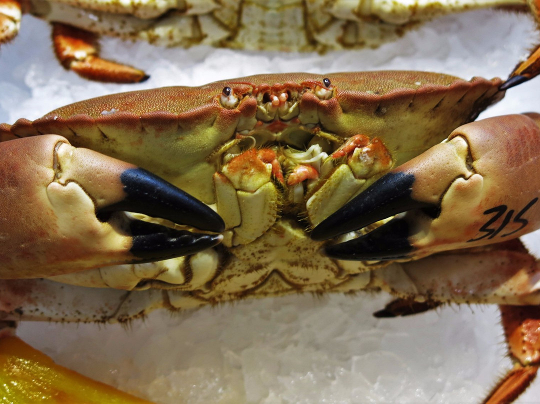 Doncaster Fish Market-唐克斯特必去景点