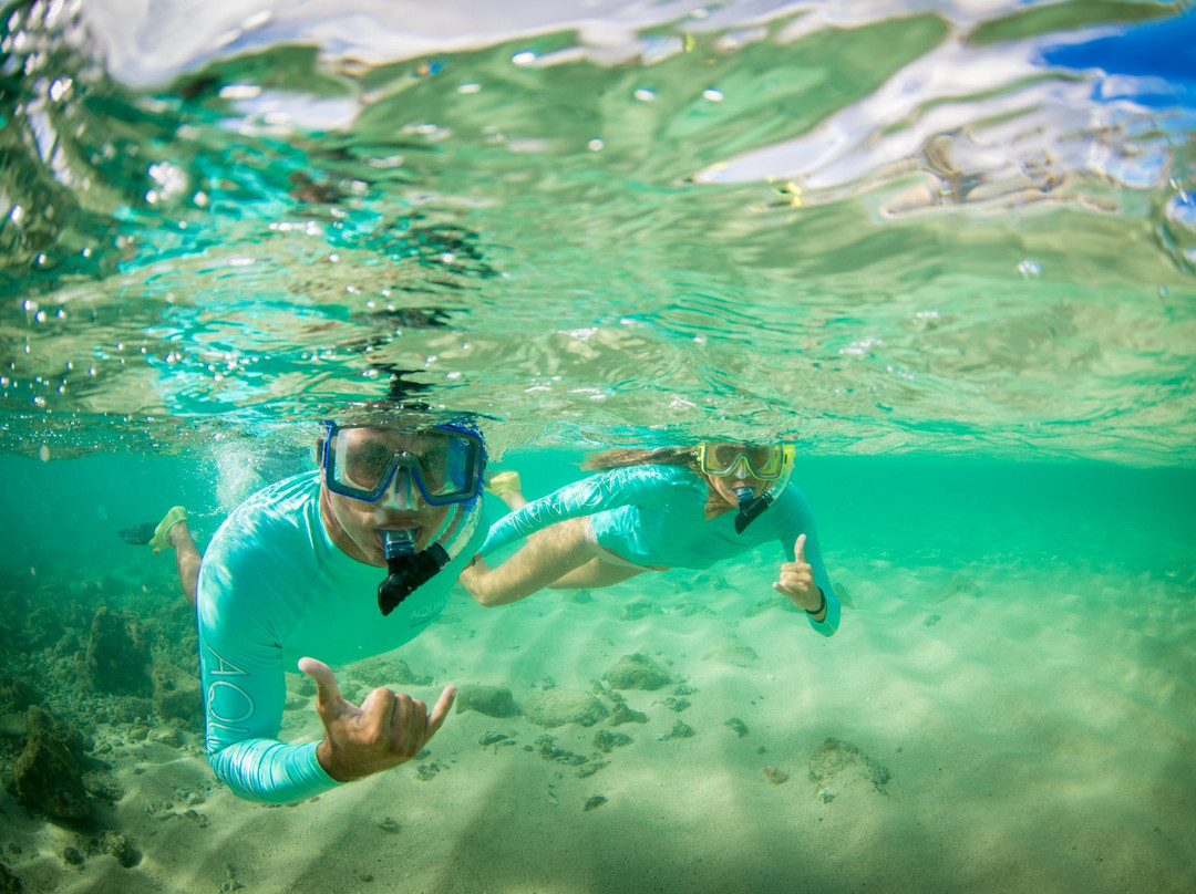 Aqualani Watersports Kauai-可洛亚必去景点
