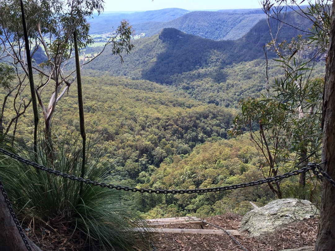 Bellbird Lookout & Circuit景点图片