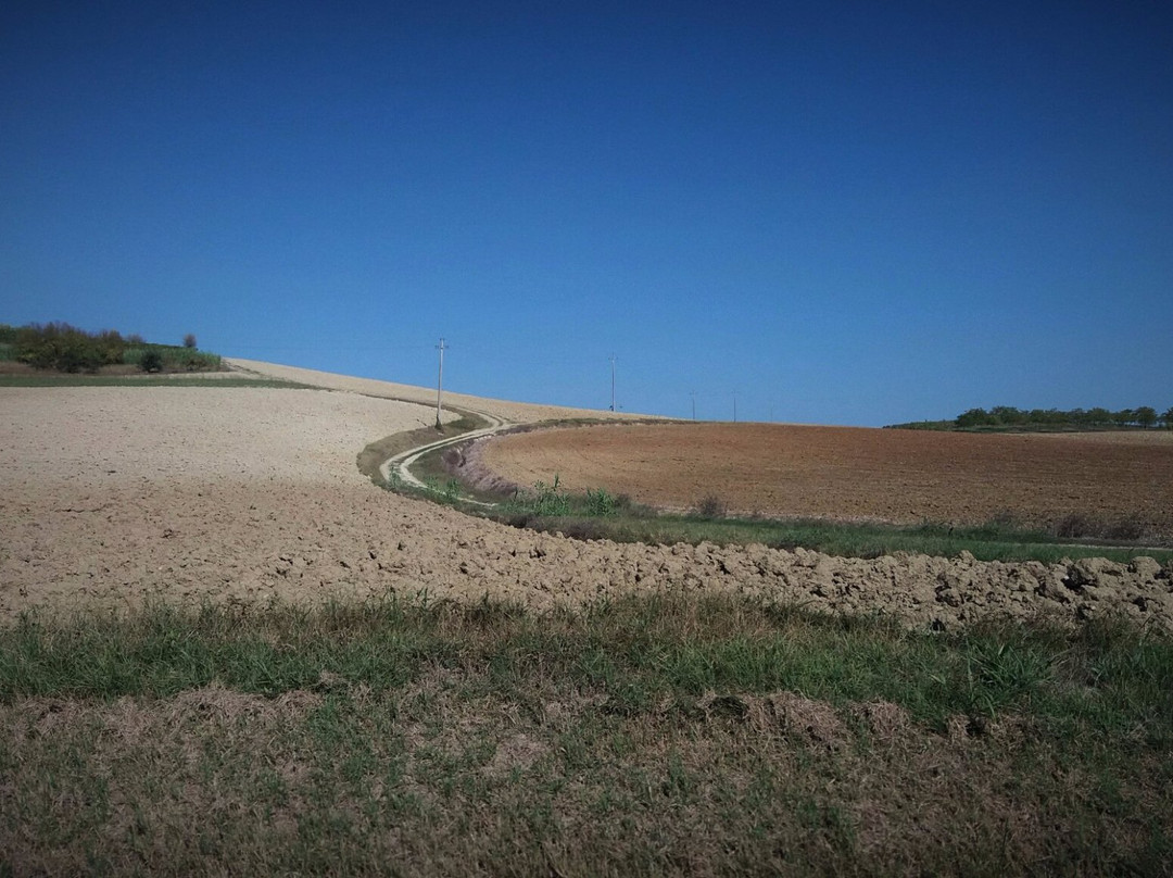 Solonghello旅游攻略图片