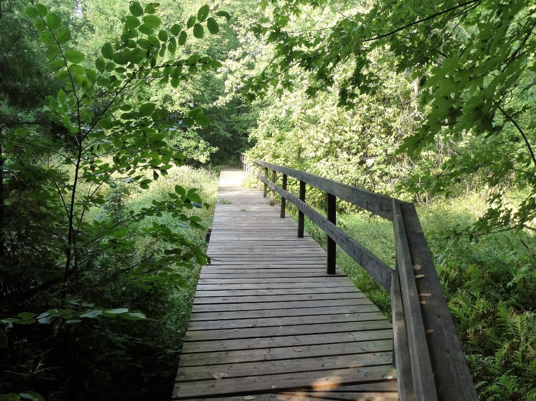 Robert Edmondson Conservation Area-Milton必去景点