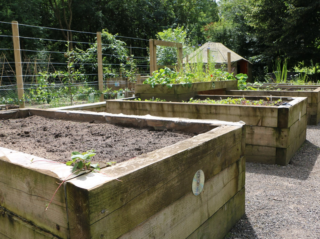 Grozone Community Garden-Northwich必去景点