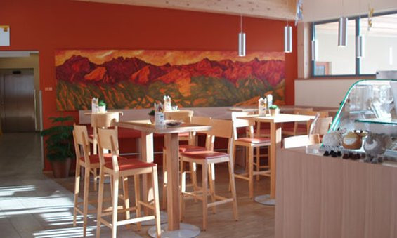 Vandans酒店住宿-JUFA Hotel Montafon