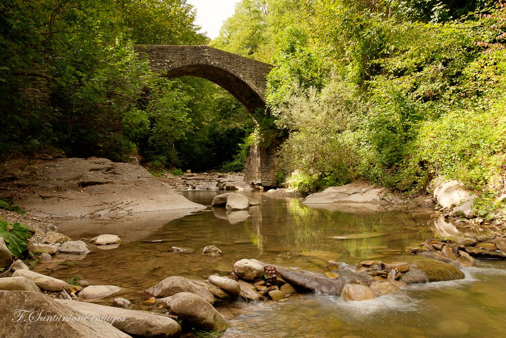 Ponte del Gorgolaio景点图片