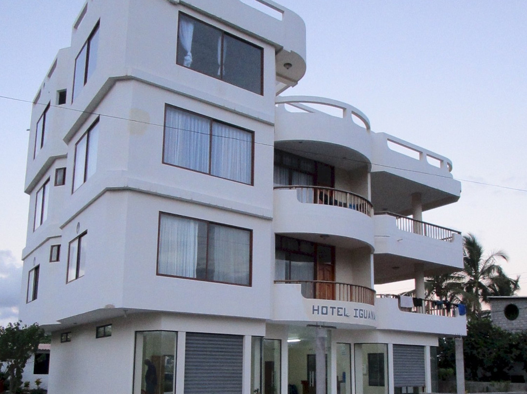 Hotel Iguana
