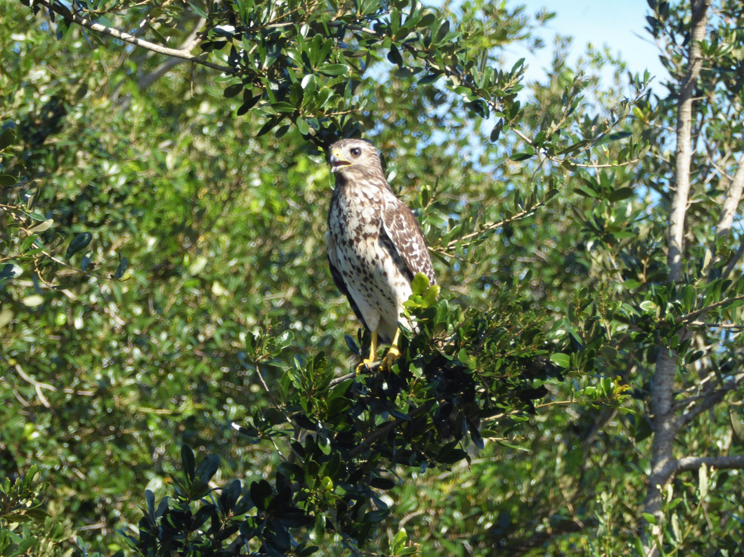 Crooked River Preserve-Clermont必去景点