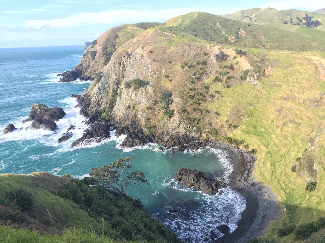 Port Jackson Campsite