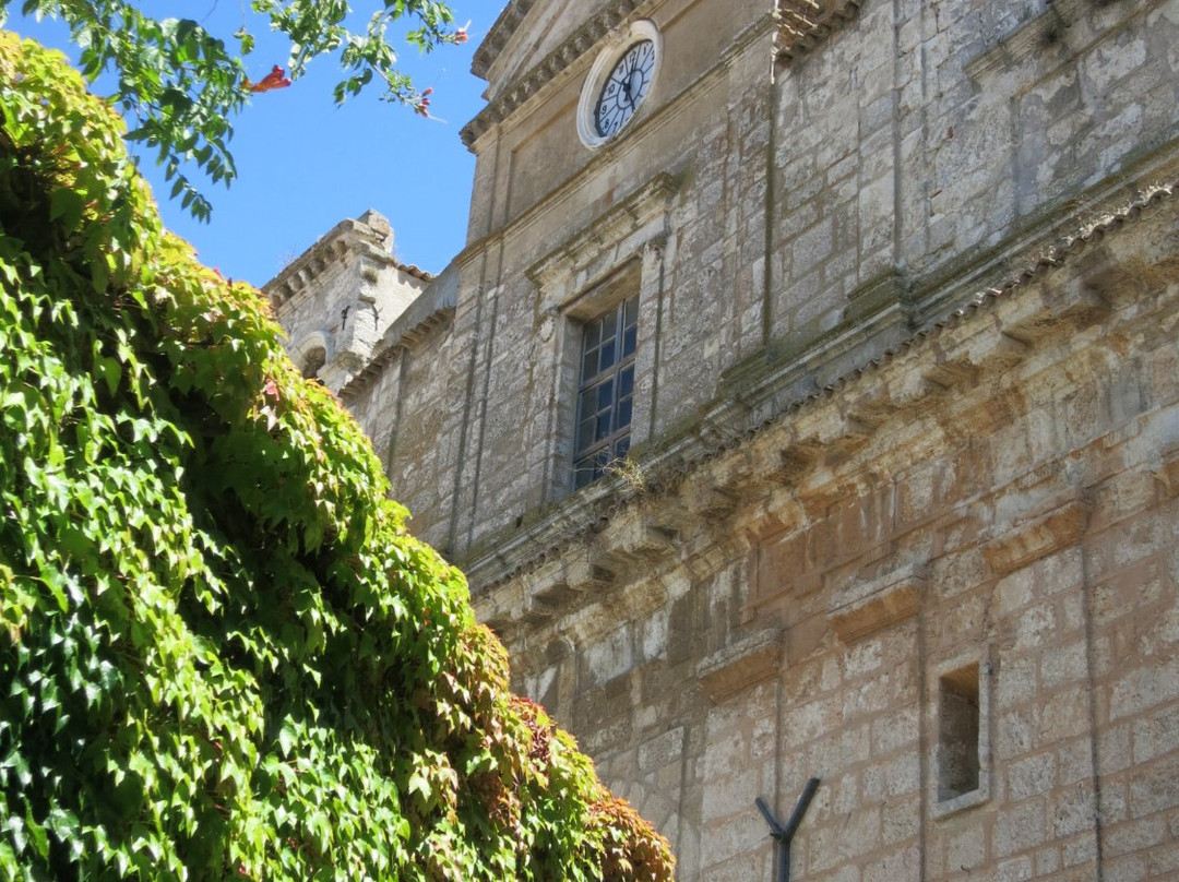 Chiesa Madre Santa Maria Maggiore景点图片