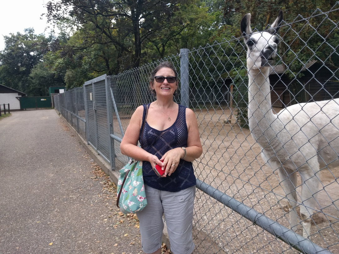 Tierpark Walldorf e.V.景点图片