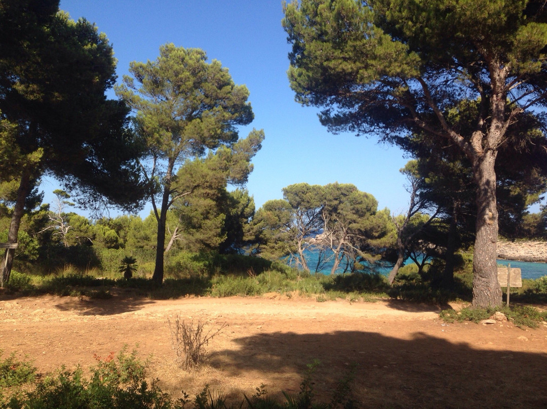Hipico Cala Ratjada Eddi's Reitstall-Cala Ratjada必去景点