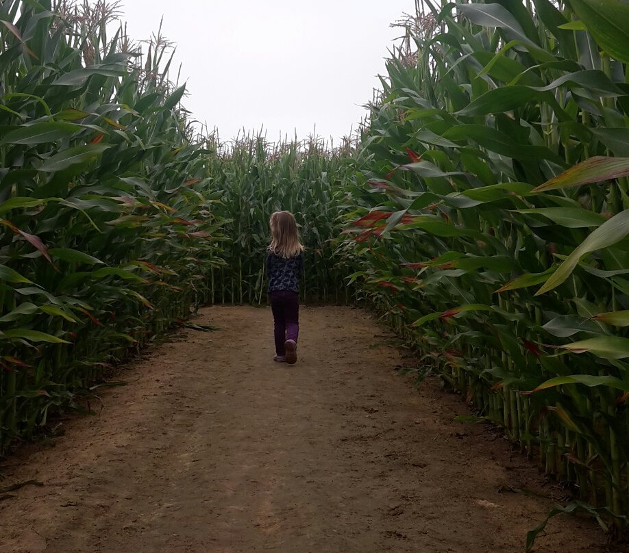 Le Labymais de la Brie-Saint Barthelemy d'Agenais必去景点