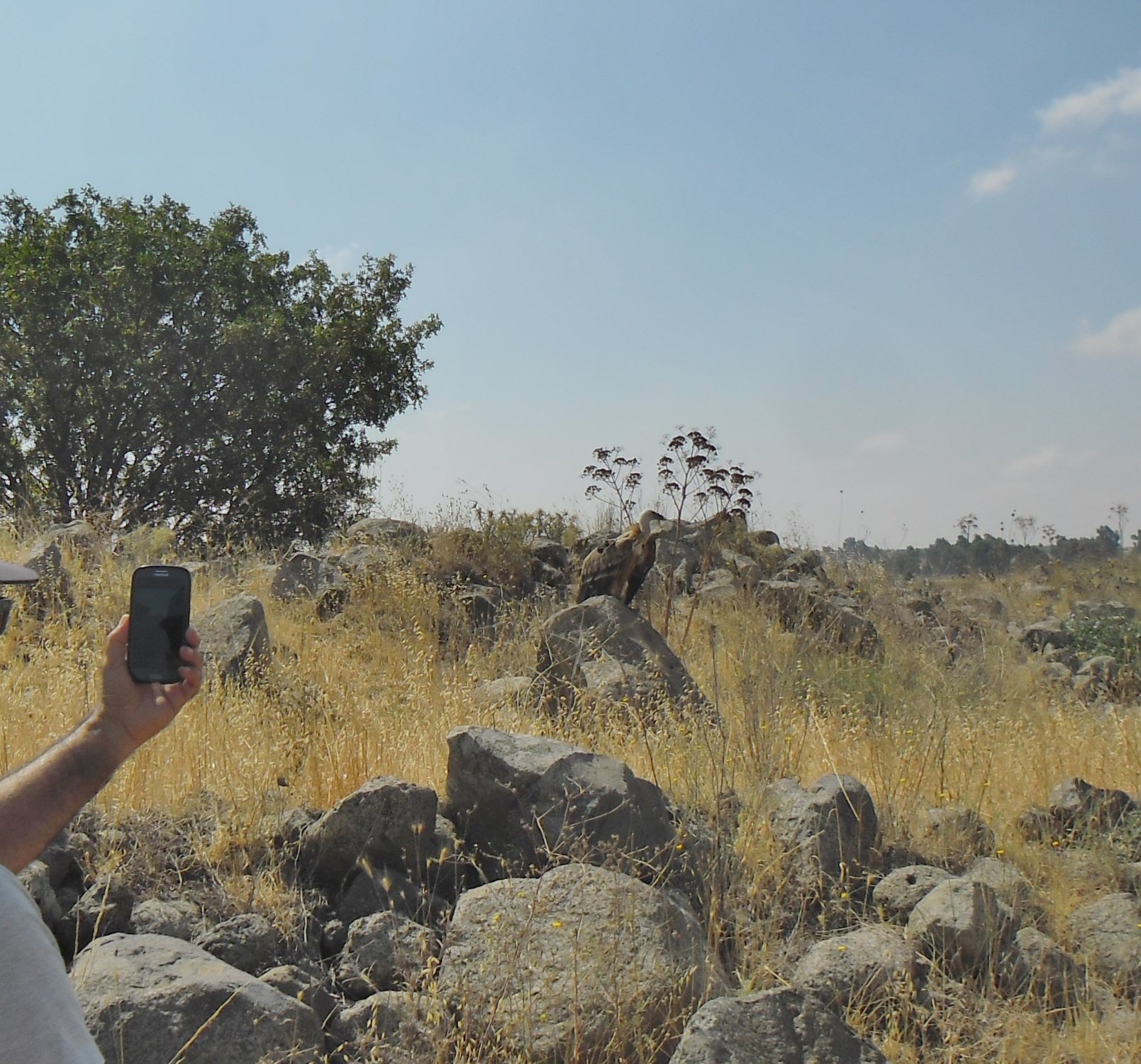 Keshet Yonatan B&B-官方