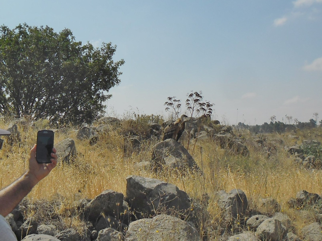 Keshet旅游攻略图片