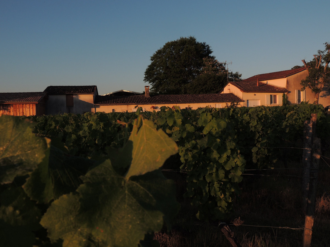 Domaine De La Gauche景点图片