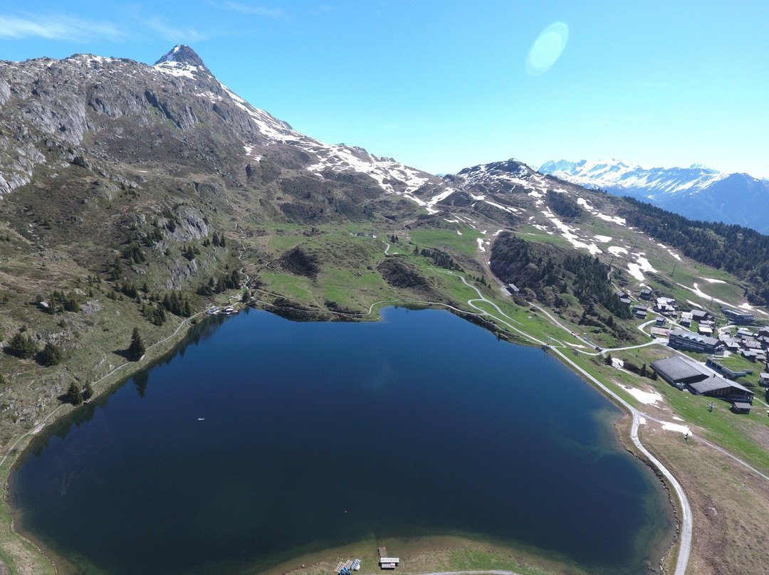 Bettmeralp旅游攻略图片