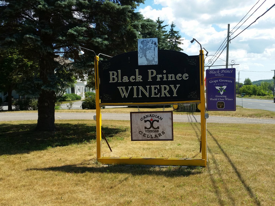 Black Prince Winery & Canadian Cellars offering Wood-Fired Pizza & Disc Golf景点图片
