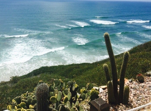 Coastal Tours of San Diego-圣地亚哥必去景点