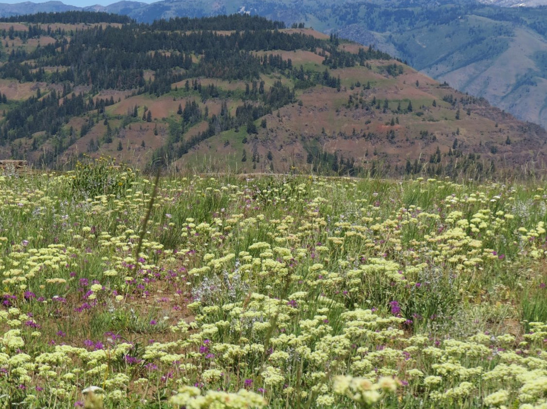 Hells Canyon-Oxbow必去景点