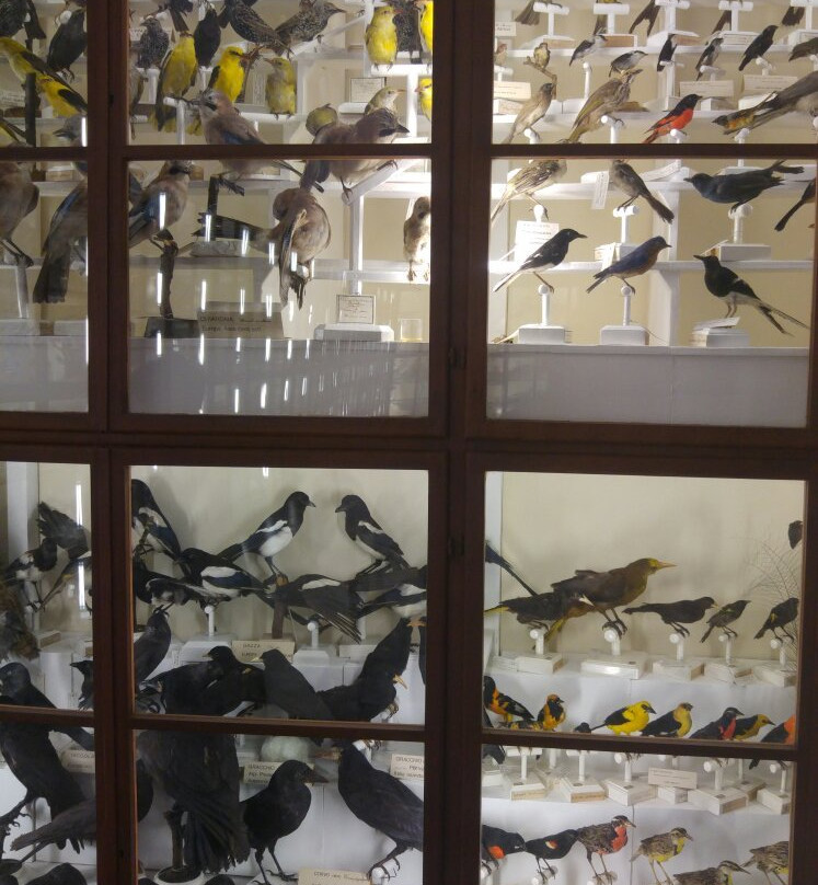 Museo di Storia Naturale dell'Accademia dei Fisiocritici-锡耶纳必去景点