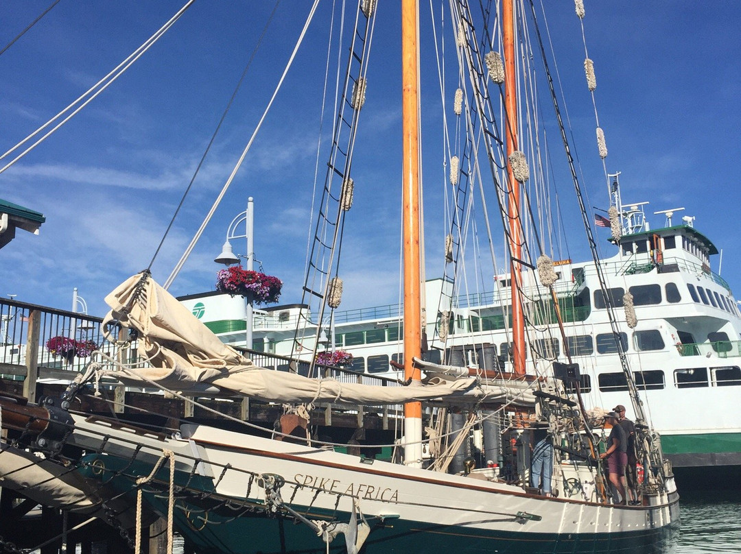 Schooners North景点图片
