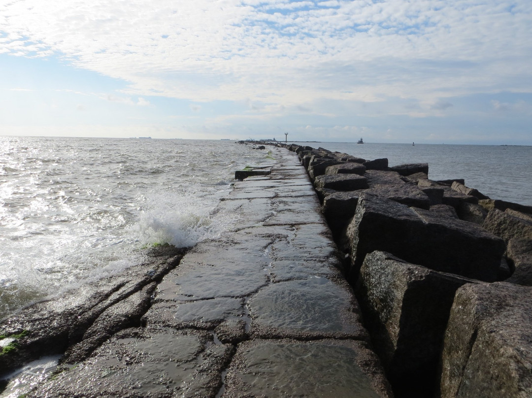 San Jose Island-阿兰瑟斯港必去景点