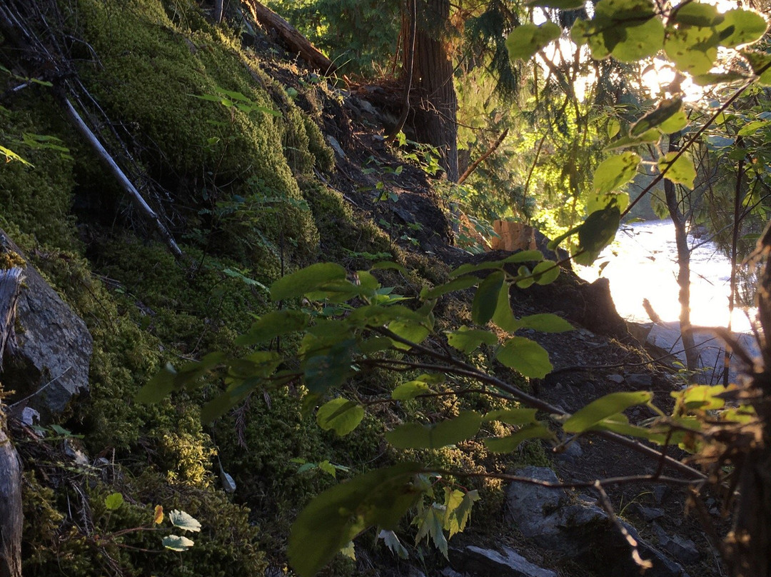 Scenic Canyon Regional Park景点图片