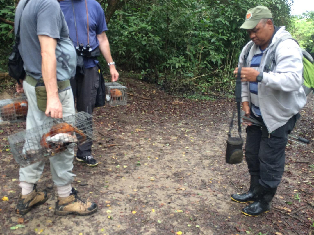 Associação Mico Leão Dourado-Silva Jardim必去景点