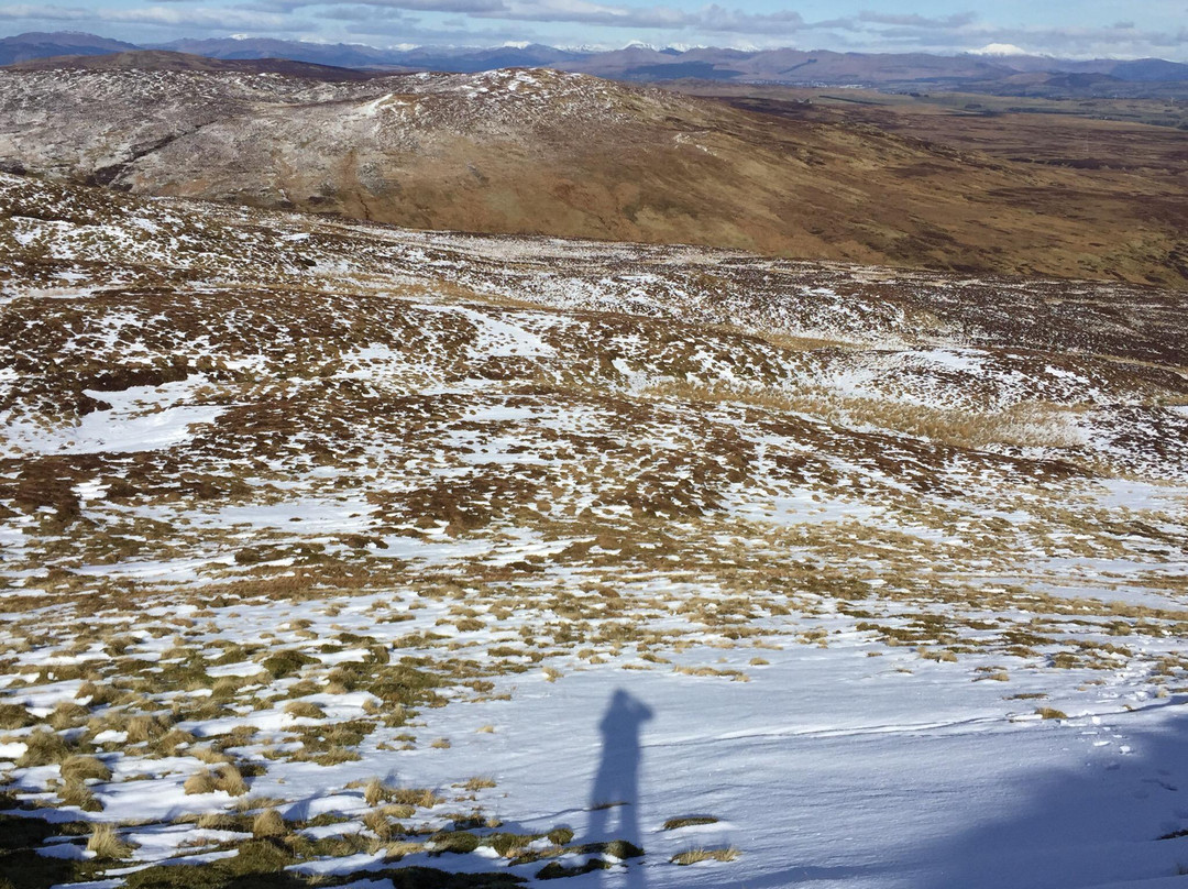 Muirshiel Visitor Centre & Country Park景点图片