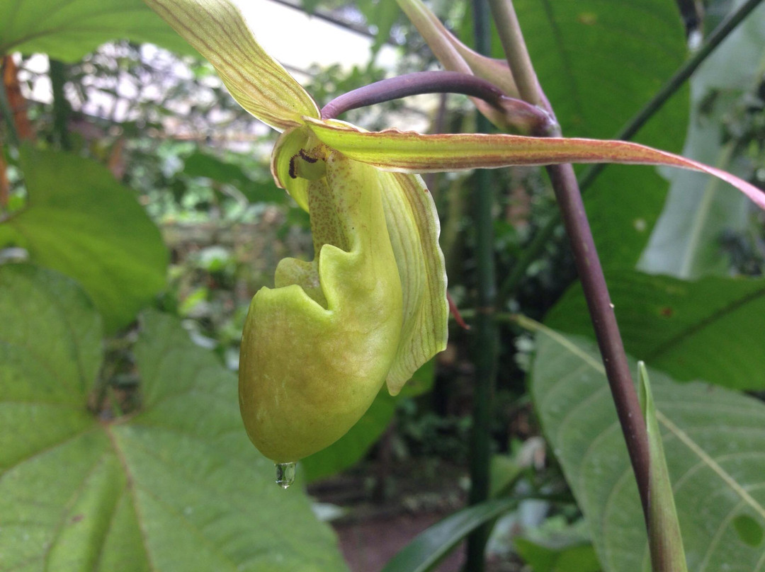 Rancho Esmeralda-明多必去景点