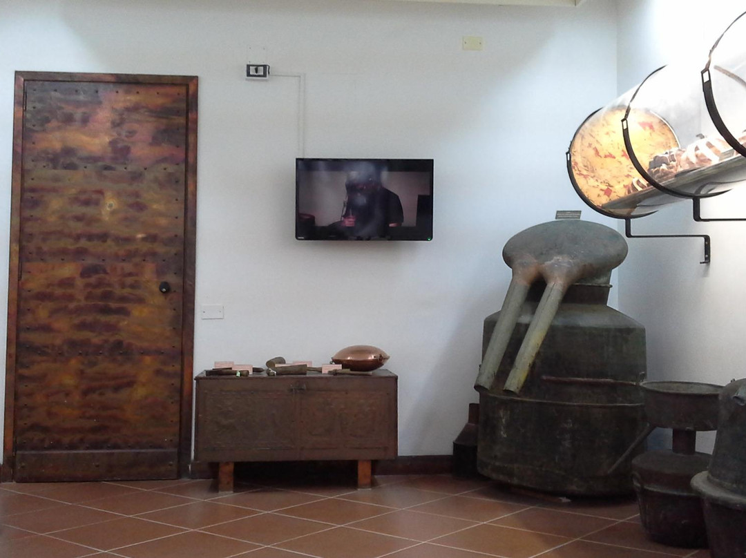 Museo Marate景点图片