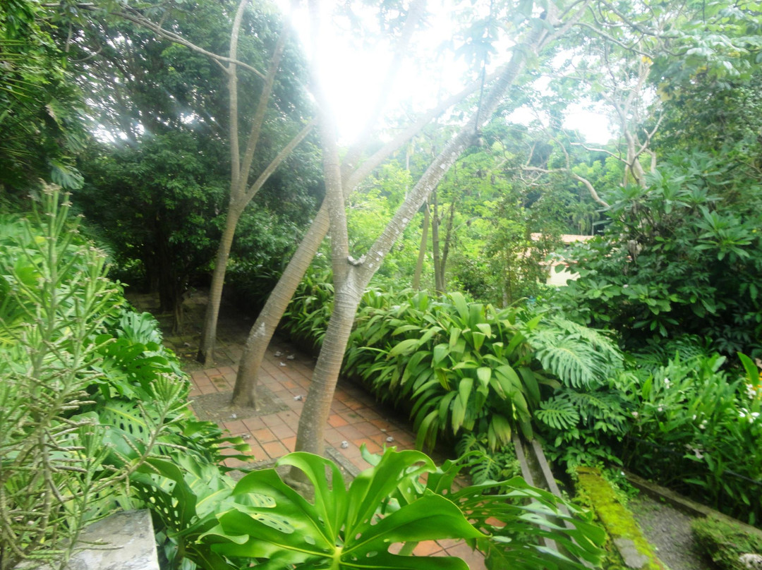 Hacienda Nogueras-Comala必去景点