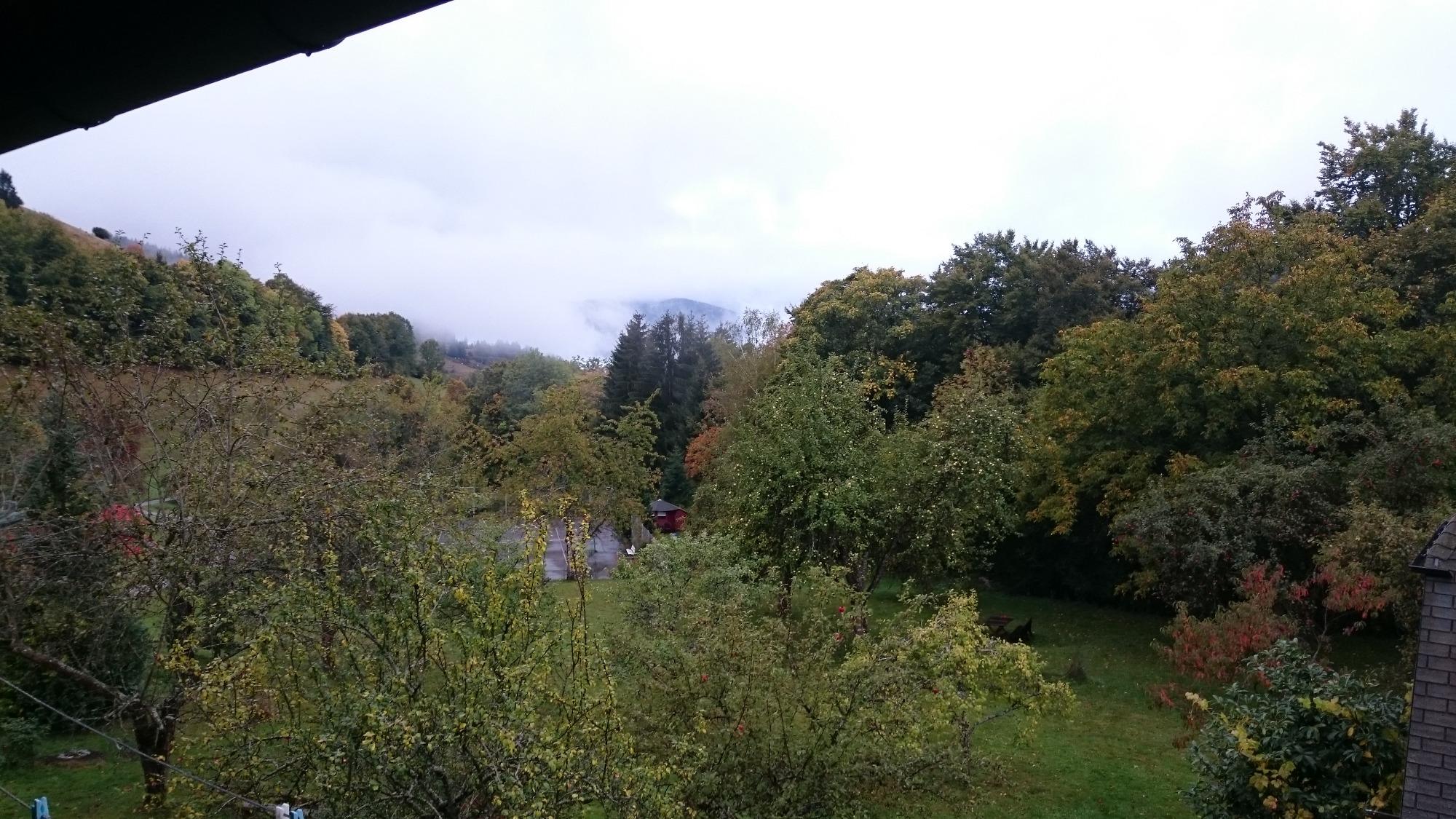 Gasthaus & Pension Tanne-酒店景观