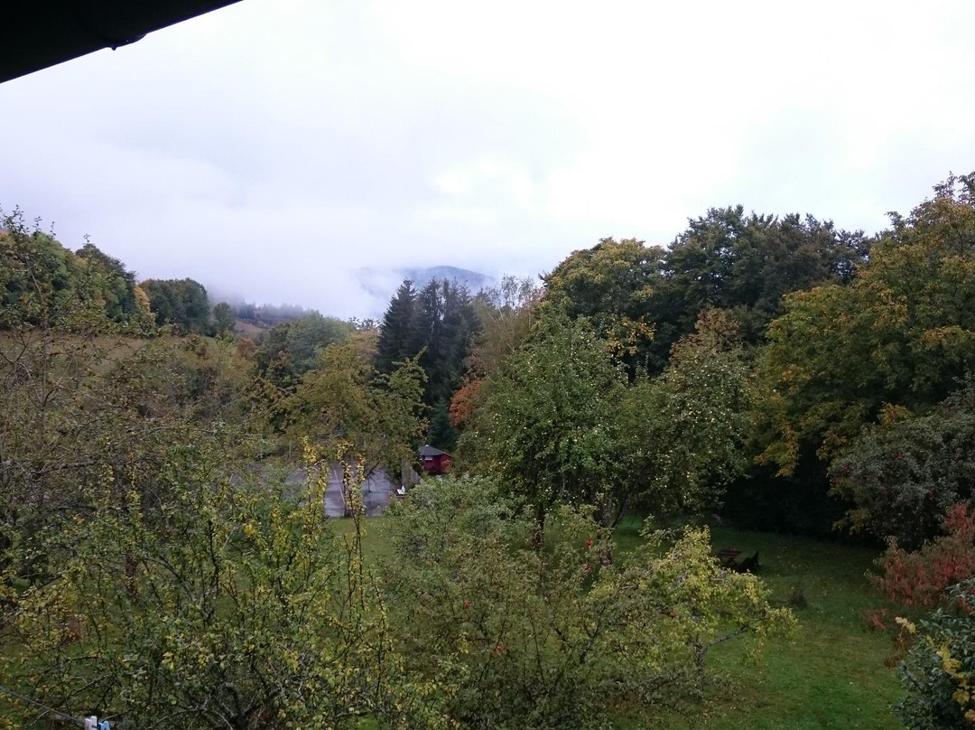 Gasthaus & Pension Tanne主图