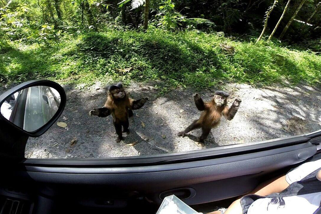 Itaporani Waterfall-Itatiaia必去景点